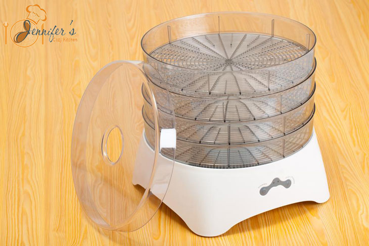The Best Food Dehydrator For Jerky: A Complete Round-Up!